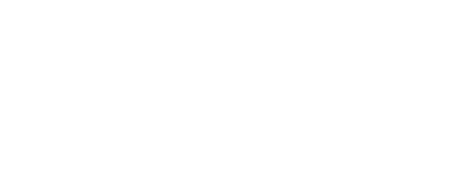 Asset logo